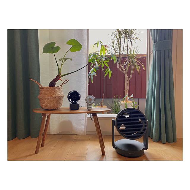 壁/天井/賃貸アパート/ミルクブッシュ/ドラセナ/ドラセナコンシンネ...などのインテリア実例 - 2025-05-28 15:31:40
