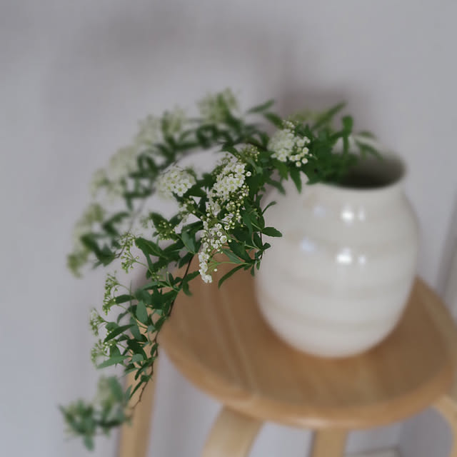 ficus38さんの実例写真