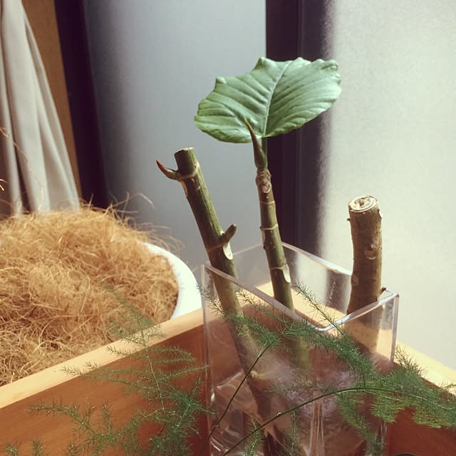 yukaさんの実例写真