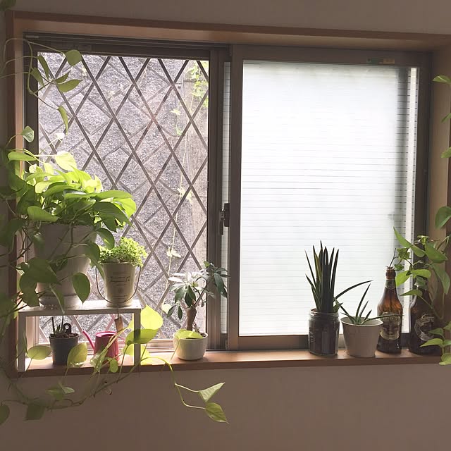 JiJiさんの実例写真