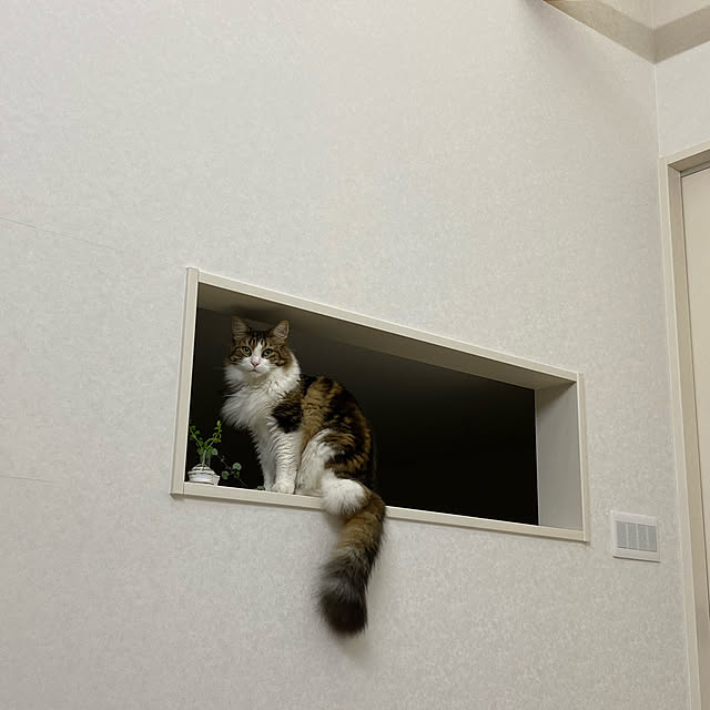 furitamaさんの実例写真