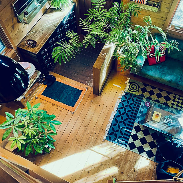 grapefruitmoonriderさんの実例写真