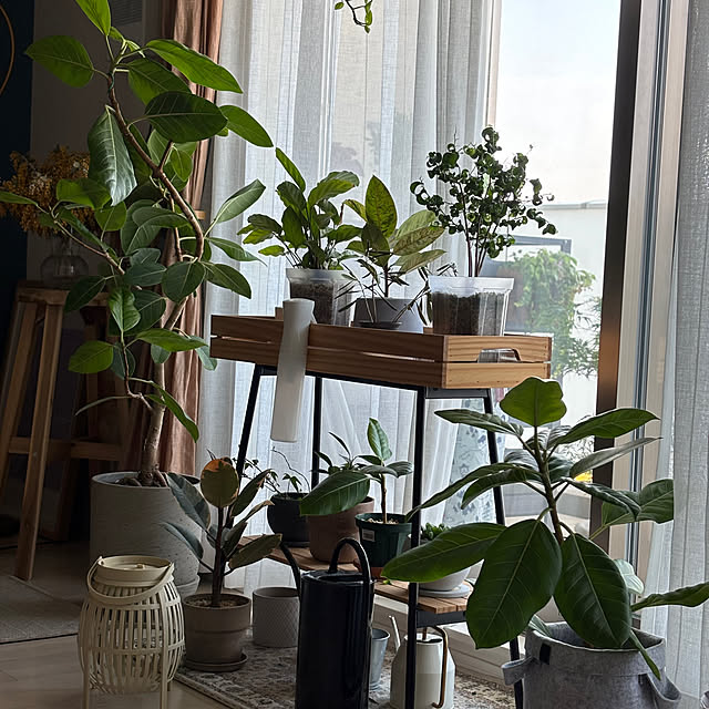 busho_no_hahaさんの部屋