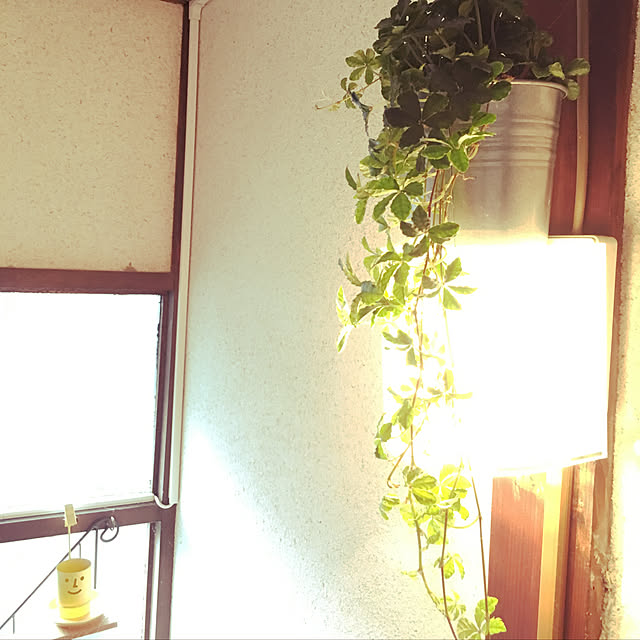 viola-boyさんの実例写真