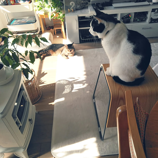 futukoさんの実例写真