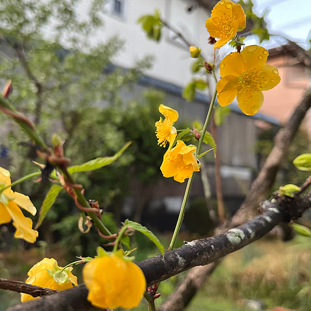 miyakoさんの部屋