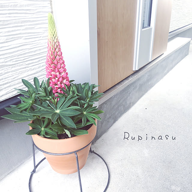 kariaさんの実例写真