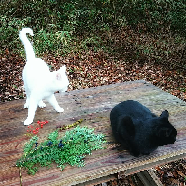 weさんの実例写真