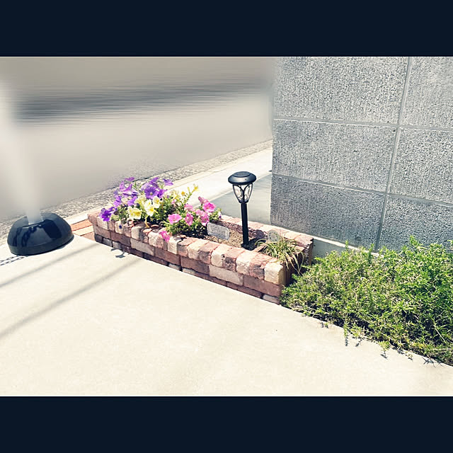 yukimidaifukuさんの実例写真