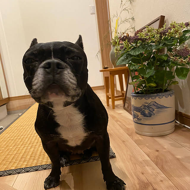 kotaroさんの実例写真