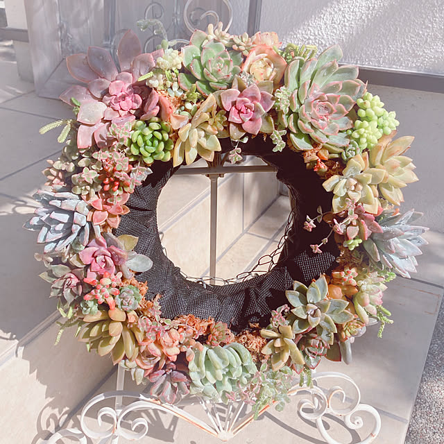 soraさんの実例写真