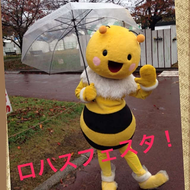 実例写真