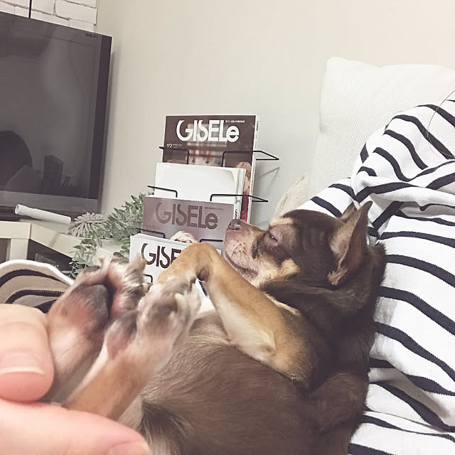 namiheeeeyさんの実例写真