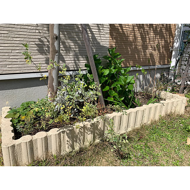 kaさんの部屋