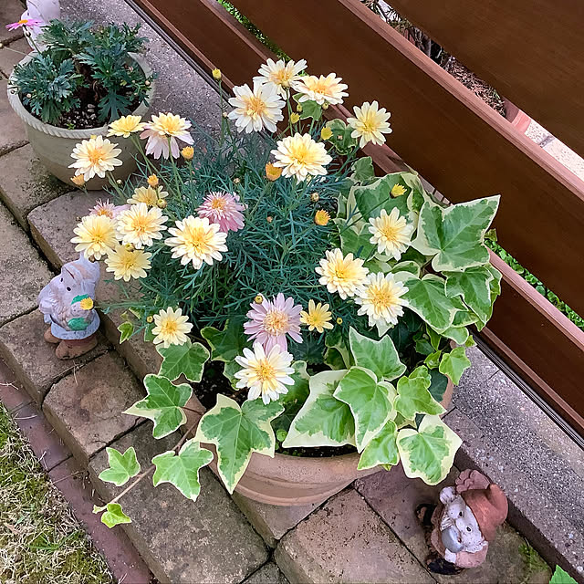 haruminさんの実例写真