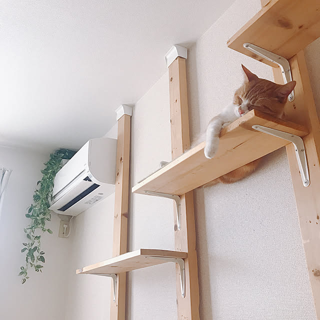 maruさんの部屋