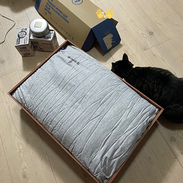 coolcats0528さんの部屋