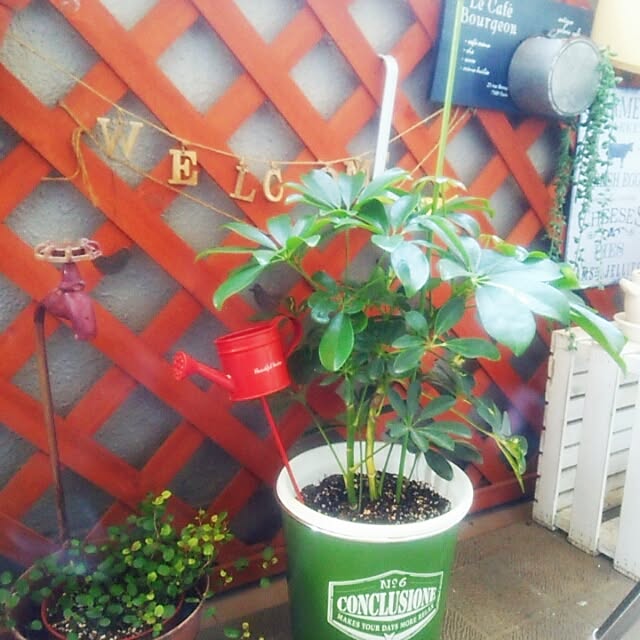 miriaさんの実例写真