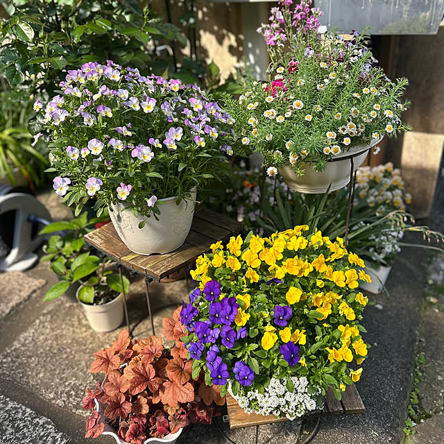 fumikoiさんの部屋