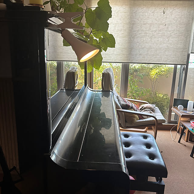 cottoncottonさんの部屋