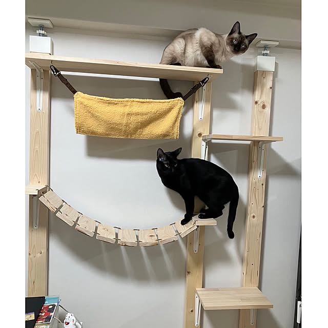 キャットウォーク 吊り橋のおしゃれなアレンジ・飾り方の キャットウォーク 吊り橋のおしゃれなアレンジ・飾り方の