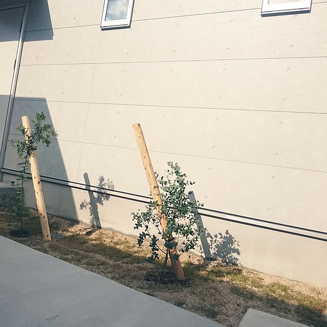 cimayaさんの実例写真