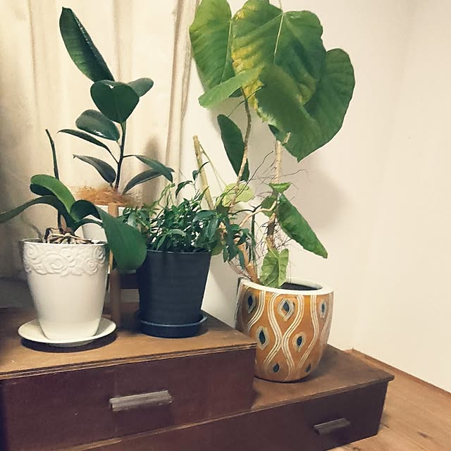 isikoro.DIYさんの実例写真