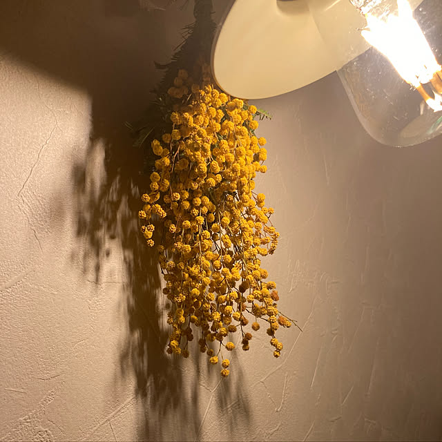 Indeco02190331さんの実例写真