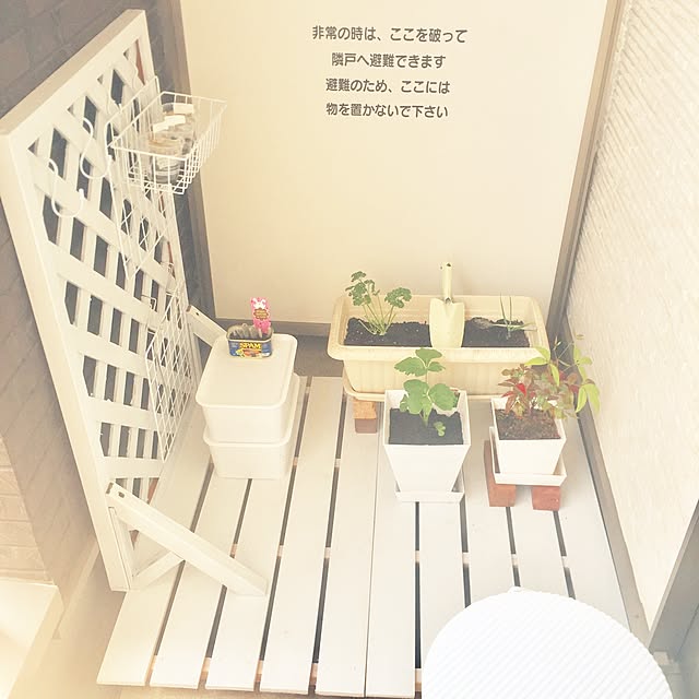 merinさんの実例写真