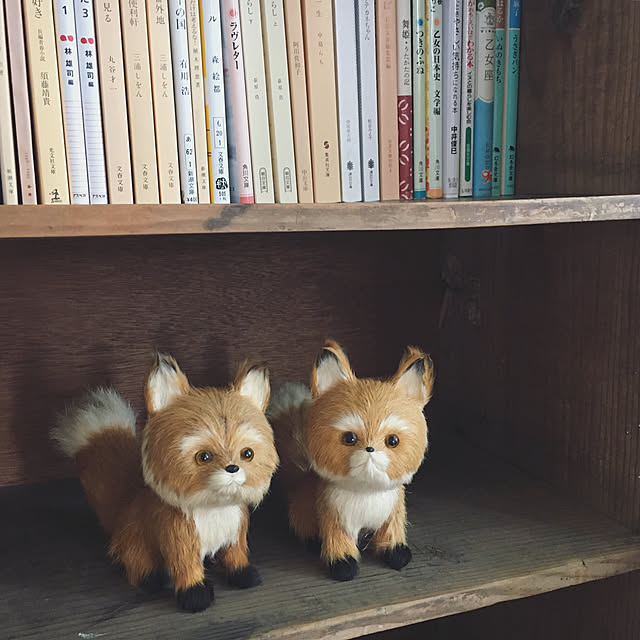 akoehonさんの実例写真