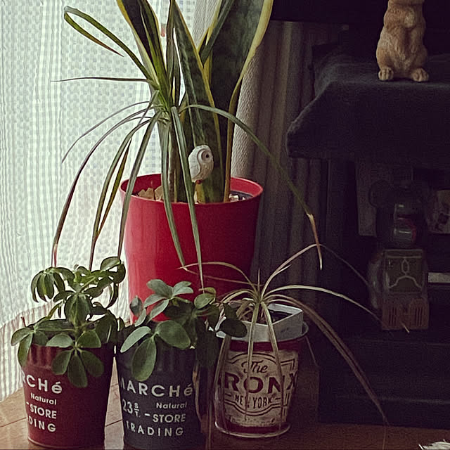 aimina0107さんの実例写真