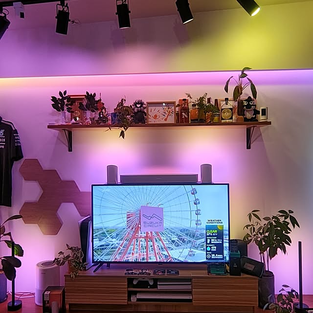qolongislandさんの部屋