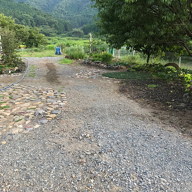 pepeさんの実例写真