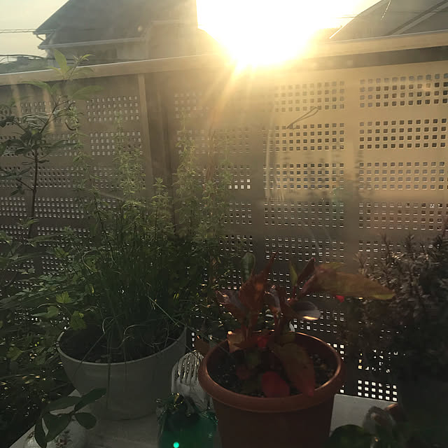 pdさんの実例写真
