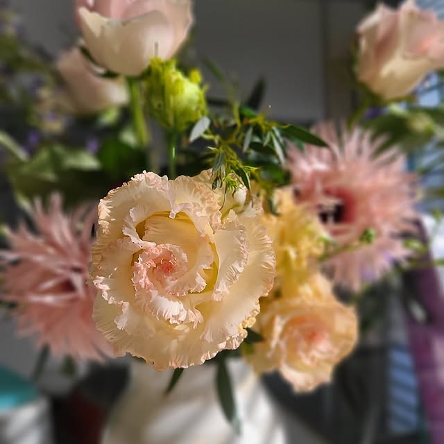 mutyukingさんの実例写真