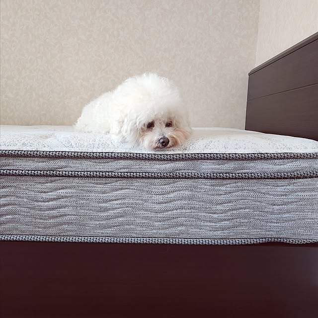 takoさんの実例写真