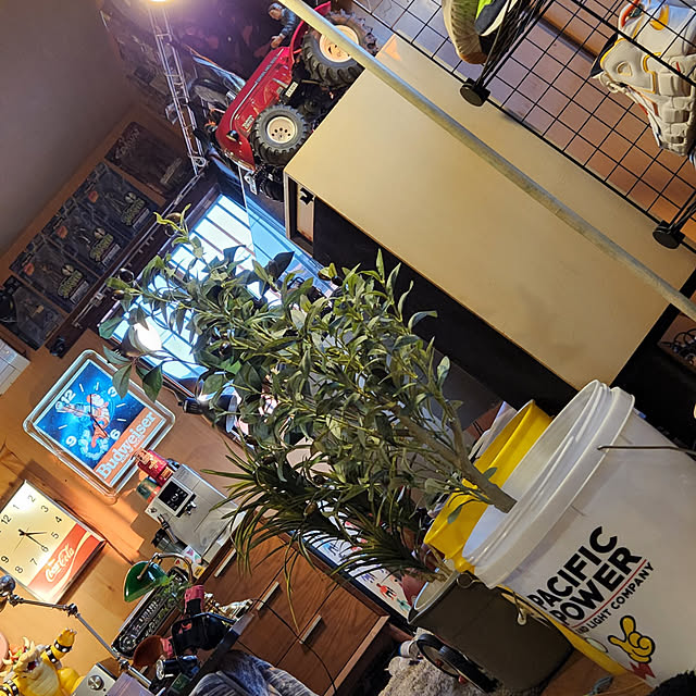 fuchan0930さんの実例写真