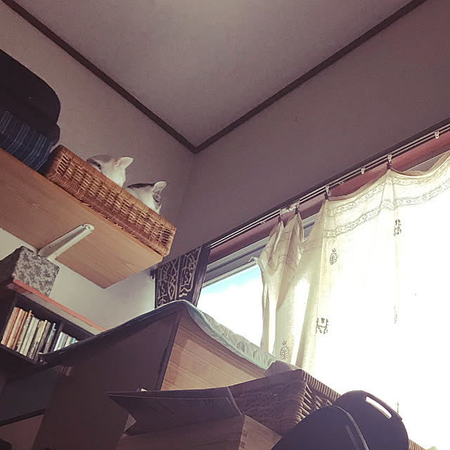 moroyaさんの実例写真