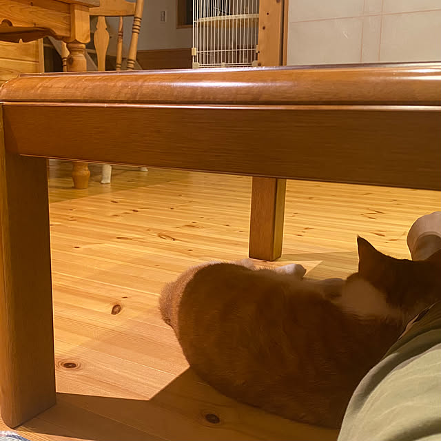 senbei.sakuramochiさんの実例写真