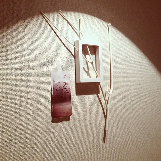 magnoliafogさんの実例写真