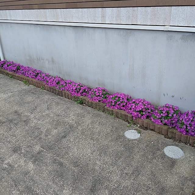 twinsさんの実例写真