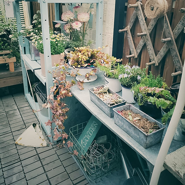 mogu0418さんの実例写真