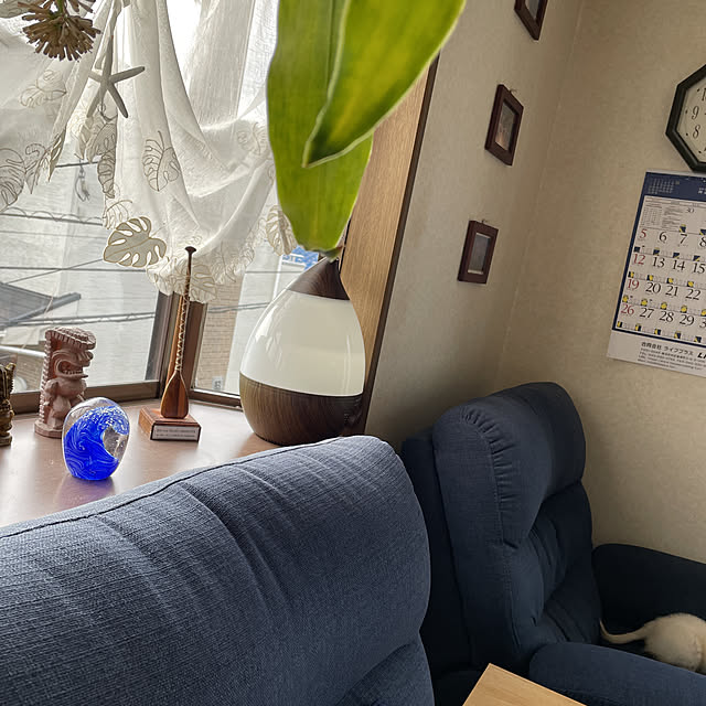 TOMOさんの実例写真
