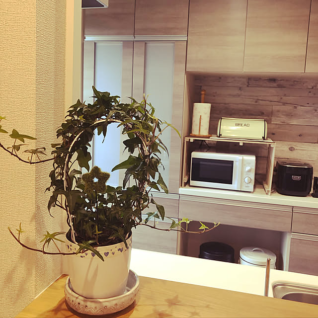 sorayumeさんの実例写真