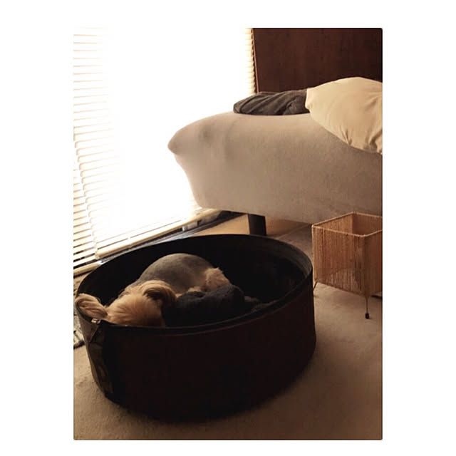 miiksさんの実例写真