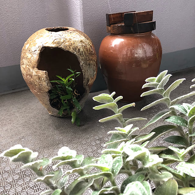 goeさんの実例写真