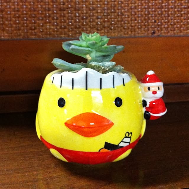 rekoさんの実例写真