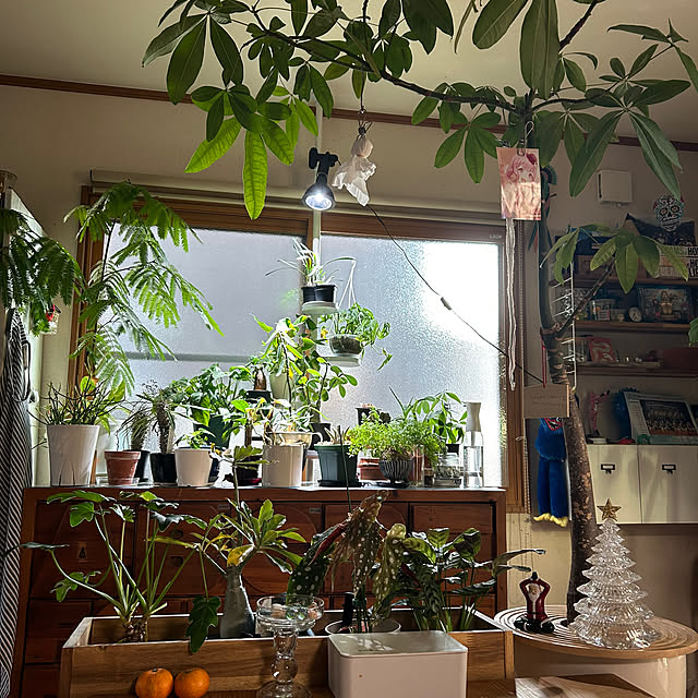 nene0183さんの部屋