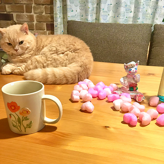naokoさんの実例写真
