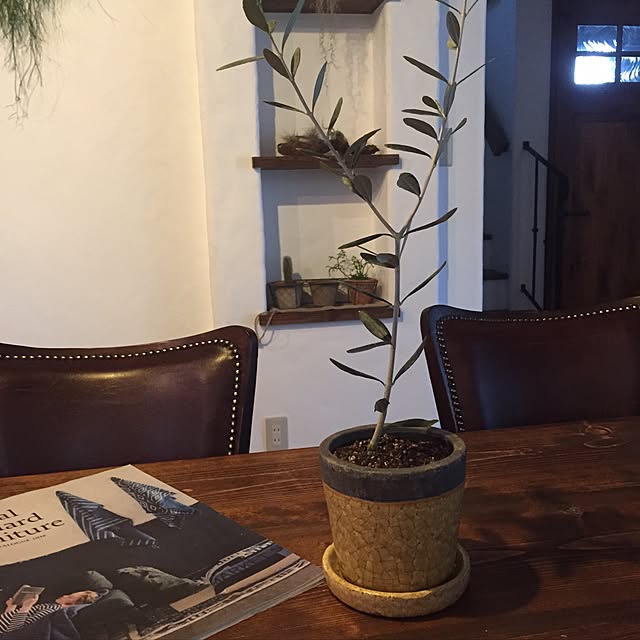 pokoさんの実例写真